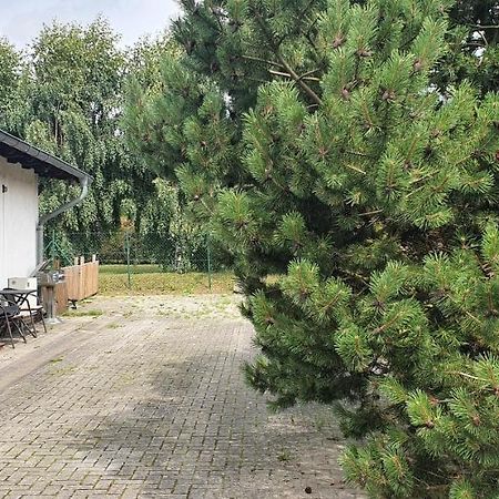 Ferienwohnung In Gristow Mesekenhagen ภายนอก รูปภาพ