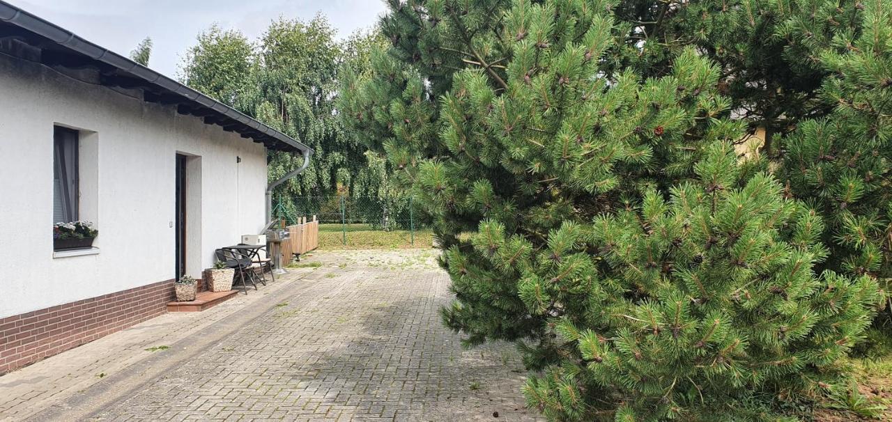 Ferienwohnung In Gristow Mesekenhagen ภายนอก รูปภาพ